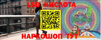 jwh Шебекино