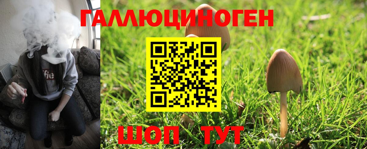 Сочи  Галлюциногенные грибы мухоморы  Вход с VPN 
