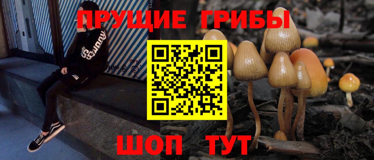 Псилоцибиновые грибы Cubensis Сочи